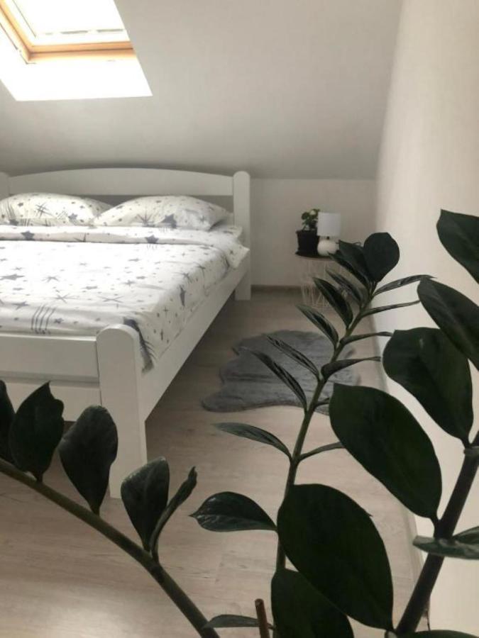 Peaceful Apartment Pluzine Luaran gambar